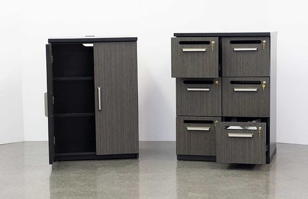 Locking Cabinet and Cubbies