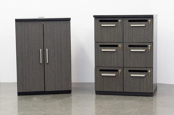 Concealed Storage and Locking Cubbies